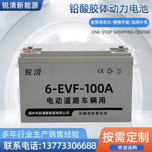 6-EVF-100A电动三轮车动力铅酸电池洗扫地机观光车电瓶车电池