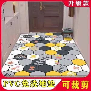 新疆包邮PVC可擦免洗地毯地垫客厅入户进口门垫过道门厅玄关厨房