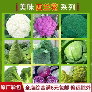 农家蔬菜种子绿霸王西兰花种孑花青花椰菜种子紫甘蓝包菜花菜籽s