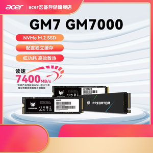 宏碁掠夺者GM7 GM7000 GM3500 SSD固态硬盘 M.2(NVMe) PCIe4.0
