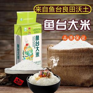 山东特产鱼台大米500g农家自产香糯新米有嚼劲优质梗米5斤香米粥