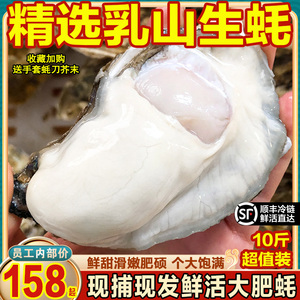 乳山生蚝鲜活10斤特大牡蛎肉肥海蛎子带箱海鲜水产鲜活官方旗舰店