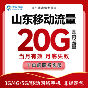 山东移动流量充值20GB流量包支持2g3g4g5g全国通用流量包当月有效