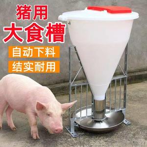 饲料自动投喂机育肥母猪食槽自动采食桶猪料槽猪用下料器养殖设备