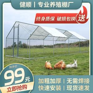 户外鸡笼养鸡棚钢管搭建大型养殖大棚家禽养殖棚家用鸡舍宠物笼子