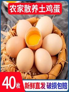 新鲜土鸡蛋农家散养柴鸡蛋40枚整箱禽蛋正宗草鸡蛋笨柴鸡蛋孕妇吃