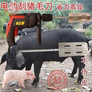 刮猪毛刨子电动退猪毛神器不锈钢电动刮毛器猪去猪毛神器 省力高