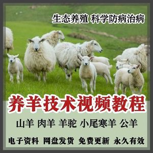 养羊技术视频教程山羊肉羊小尾寒羊饲养生态养殖羊病预防全套课程