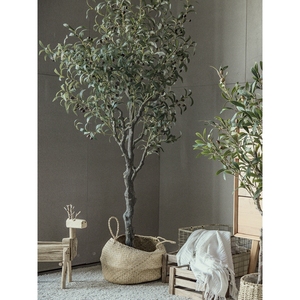 森泰仿真绿植装饰橄榄树假树盆栽ins复古风室内大型客厅盆景北欧