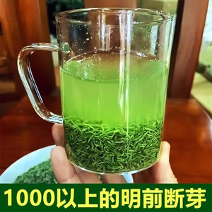 茶叶断芽信阳毛尖2024新茶叶明前断芽碎尖茶末散装毛尖绿茶500g