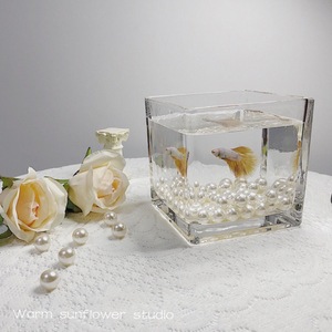 斗鱼鱼缸方形加厚小型生态金鱼缸珍珠装饰半月缸水族箱水培花瓶