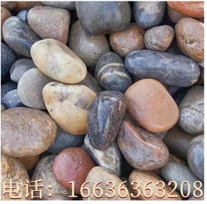 上海五彩铺地鹅卵石铺路河卵石黑白石头原石鱼缸装饰天然鹅软暖石