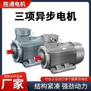 电机全铜绕线硅钢片定转子4极22千瓦电动机马达Inductionmotor