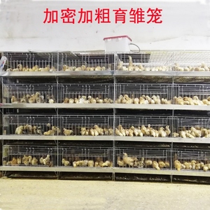 蛋鸡笼养殖场专用笼鸡笼子阶梯式蛋鸡笼养鸡设备养殖鸡笼全套优质
