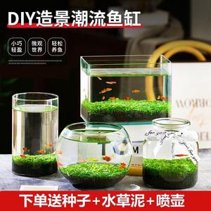 生态瓶微景观鱼玻璃迷你小鱼生态缸桌面微观植物水草diy材料造景