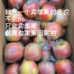 苹果水果徐州丰县大沙河苹果10斤带箱红富士冰糖心脆甜野生丑萍果