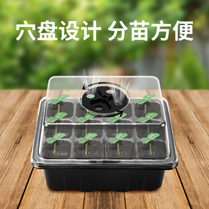 育苗盘育苗盆穴盘塑料杯种植神器营养钵蔬菜育种扦插盒农用托盘盆