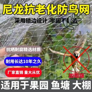 网鸟纱网果园水果树户外天网尼龙养殖网鱼塘防护葡萄大棚农田防鸟