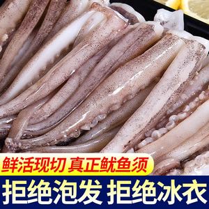 火锅食材新鲜速冻八爪鱼二本足鱿鱼须免处理商用饭店专用摆摊现切