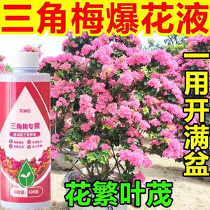 三角梅开花专用营养液肥促花爆花骨粉复合肥料养花枝繁叶茂促开花