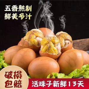 五香活珠子新鲜13天麻辣即食土鸡蛋毛蛋鸡胚蛋钢化蛋【包邮】