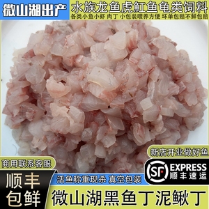 微山湖新鲜黑鱼丁鱼柳乌鱼丁泥鳅段喂养乌龟饲料河虾小麦穗鱼螺肉