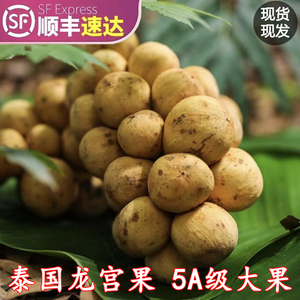 【5A】泰国进口龙宫果当季新鲜热带水果稀有品种孕妇整箱顺丰包邮