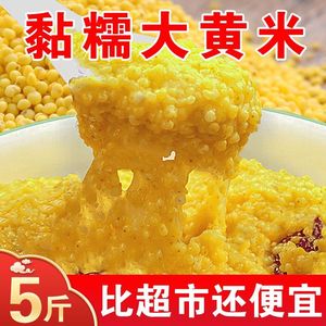 山西大黄米自种粘糯黄米粘黄米粽子米粘豆包黍子糜子米5斤装