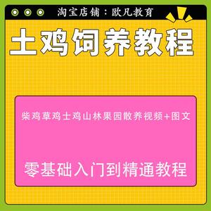 土鸡生态养殖技术资料柴鸡散放养饲养视频教程材疾病防治培训大全