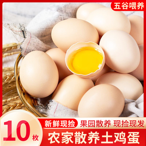 筱诺新鲜农村土鸡蛋10枚农家散养自养柴鸡蛋笨鸡蛋草鸡蛋整箱