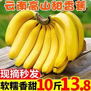云南高山香蕉9斤新鲜当季水果整箱大芭蕉叶小米蕉甜香焦10自然熟
