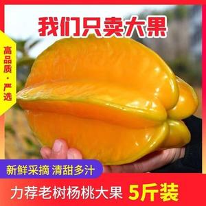 海南新鲜杨桃孕妇水果酸甜杨桃阳桃热带水果5斤