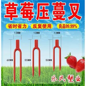 草莓叉子新款育苗压蔓器压苗叉藤蔓植物固定器压蔓生根育苗叉厂家