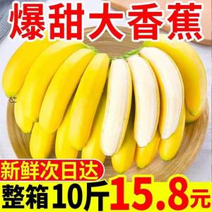 云南高山香蕉自然熟新9斤水果整箱大芭蕉叶小米蕉苹果蕉10大芭蕉