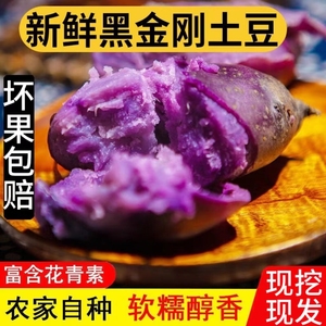 山东紫土豆黑土豆新鲜当季马铃薯黑美人金刚紫洋芋富含花青素9斤
