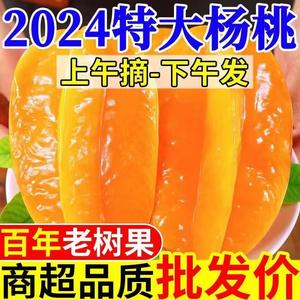 福建漳州甜杨桃5斤香蜜新鲜水果整箱包邮应当季红龙五角星杨阳桃6