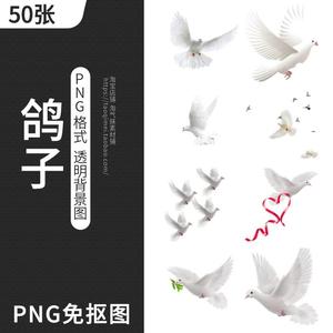 鸽子白鸽和平鸽PNG免抠图片鸟类元素透明背景图案插图PS设计素材