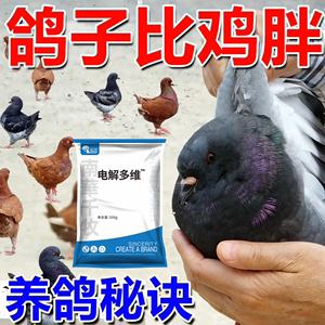 肉鸽增肥猛长肉鸽子催肥增重催长剂鸡鸭鹅禽用促生长素饲料添加剂