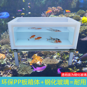 乌龟缸大型塑料轻体高清透明玻璃深水鱼池锦鲤金鱼池水龟饲养龟箱