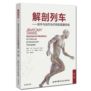 正版解剖列车-徒手与动作的肌筋膜经线-第三版 托马斯·梅尔斯著
