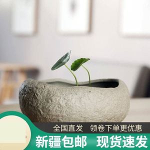 新疆包邮水栽铜钱草碗莲睡莲水仙花花盆陶瓷创意仿石头无孔水培水