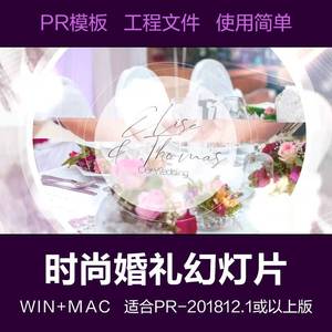 PR模板-新颖婚礼周年纪念情人浪漫家人照片幻灯片相册视频模板