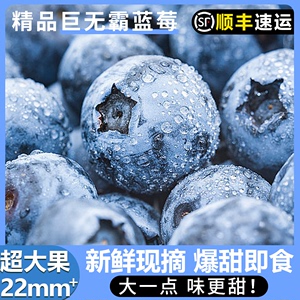 云南新鲜蓝莓当季特大果孕妇水果鲜果蓝梅高山怡颗甜莓顺丰包邮
