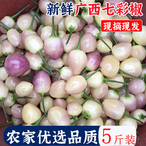 广西现摘七彩椒新鲜小辣椒5斤蔬菜农家特产五彩椒泡椒可腌制剁椒