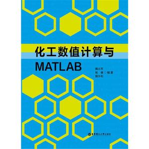 正版化工数值计算与MATLAB隋志军//杨榛//魏永明华东理工大学