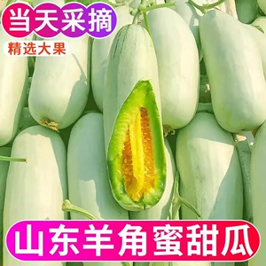 山东羊角蜜甜瓜水果新鲜当季整箱5斤包邮小密瓜香瓜蜜瓜羊角脆10