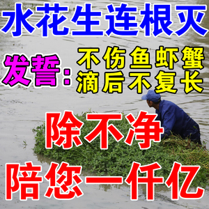 水花生克星烂根剂强力除草一扫光清理莲子水葫芦鱼塘专用不伤苗gg