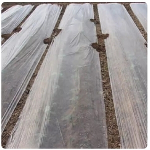 溥膜农用棚膜地膜加厚种植农用地薄膜土壤种菜膜塑料膜薄膜纸菜园