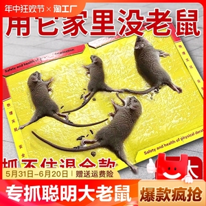 粘鼠板强力粘鼠标超强老鼠贴家用强力胶抓杀大老鼠老鼠板灭鼠厨房