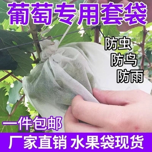 水果苦瓜套袋丝瓜葡萄套袋防虫防虫网袋防果蝇瓜果防果蝇防虫袋